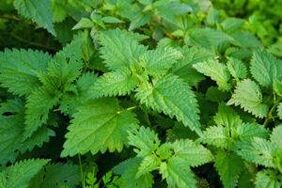 Herbs to increase power