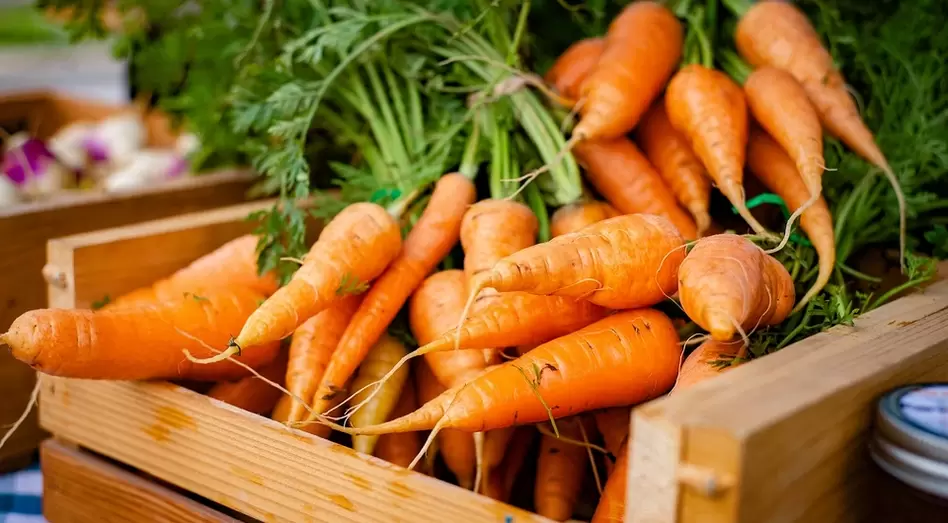 carrots for power