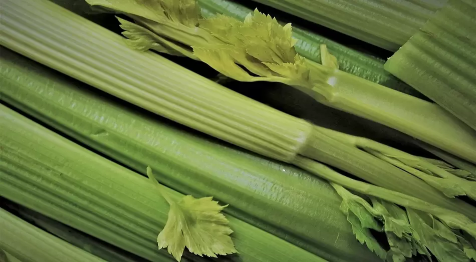 celery for power