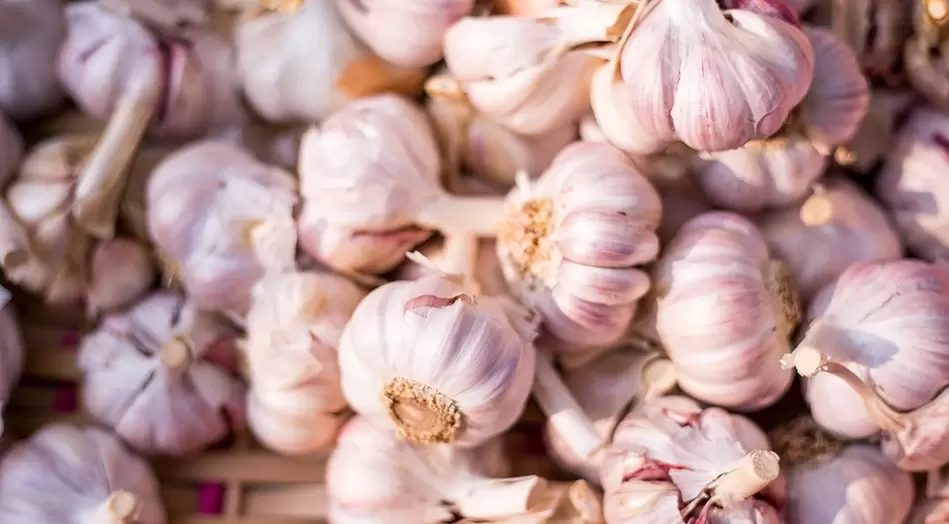 garlic for power